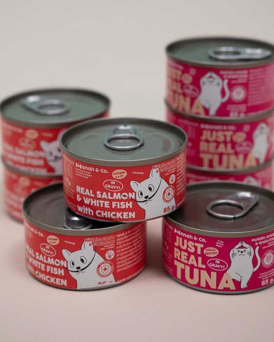 Hanah & Co - Real Salmon & White Fish with Chicken, 85g (for cats)