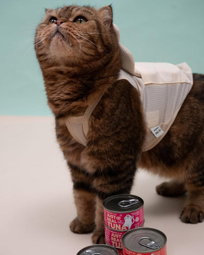 Hanah & Co - Real Salmon & White Fish with Chicken, 85g (for cats)