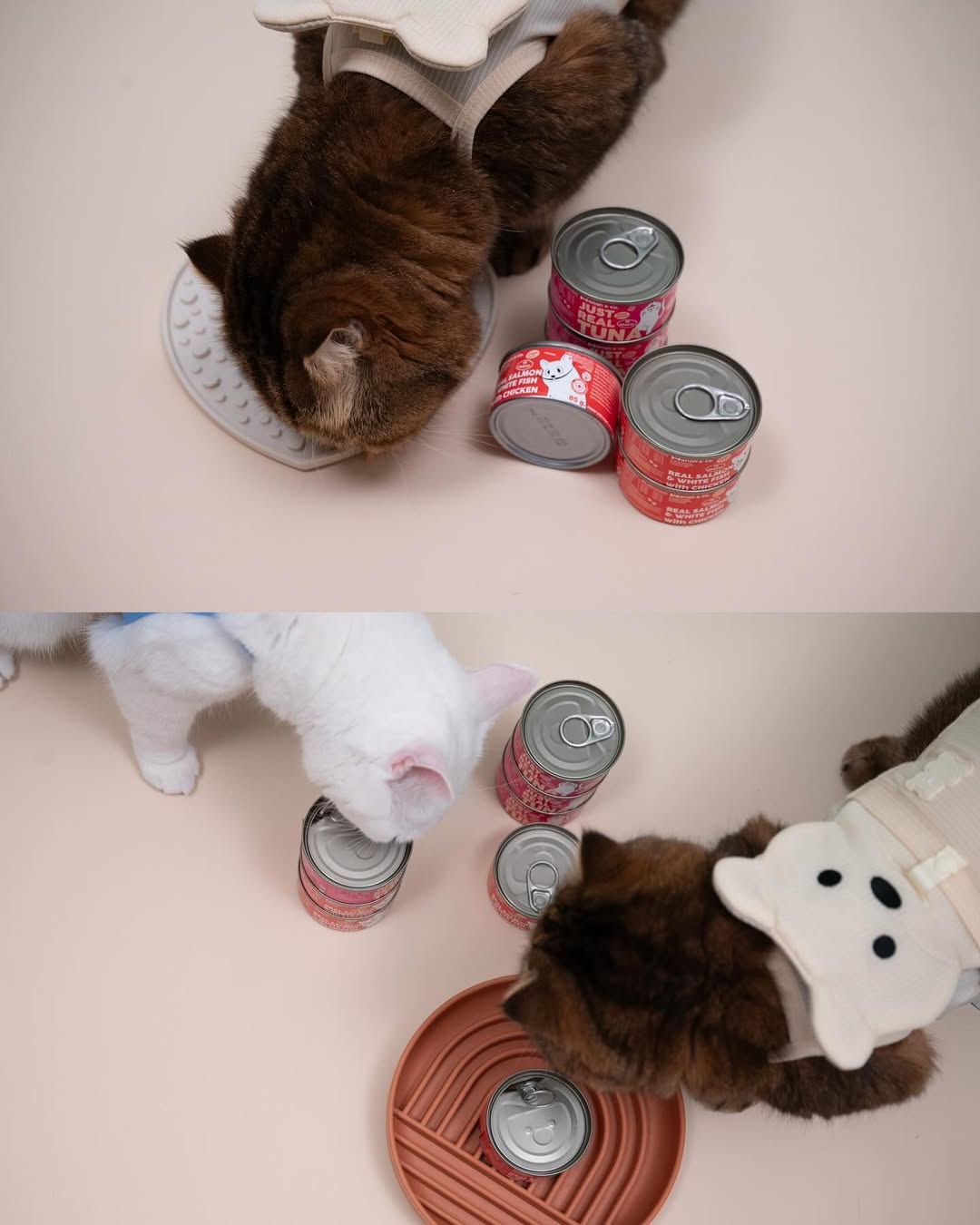 Hanah & Co - Real Salmon & White Fish with Chicken, 85g (for cats)