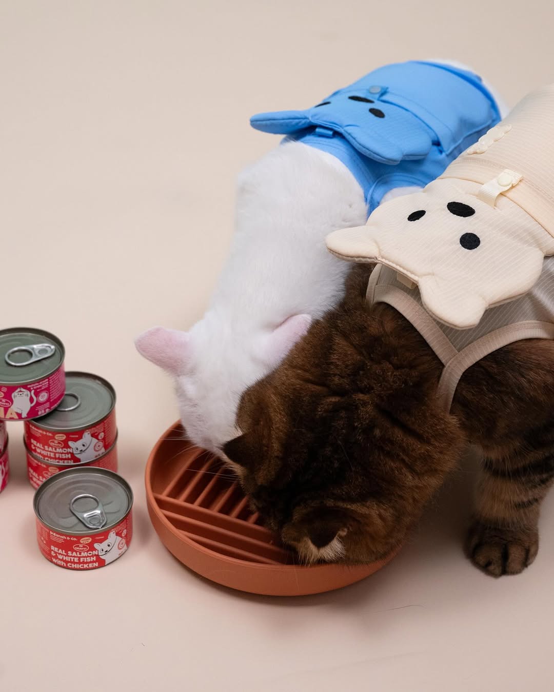 Hanah & Co - Real Salmon & White Fish with Chicken, 85g (for cats)