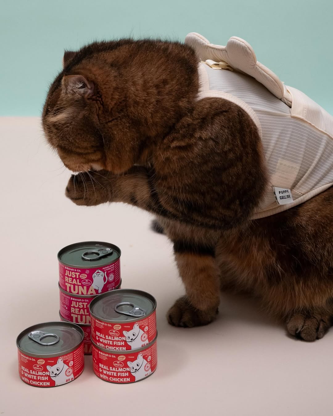 Hanah & Co - Real Salmon & White Fish with Chicken, 85g (for cats)