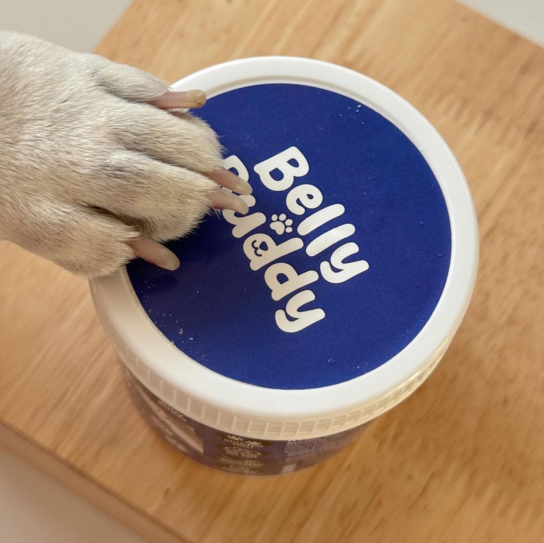 Belly Buddy - Bluefin Tuna Collagen