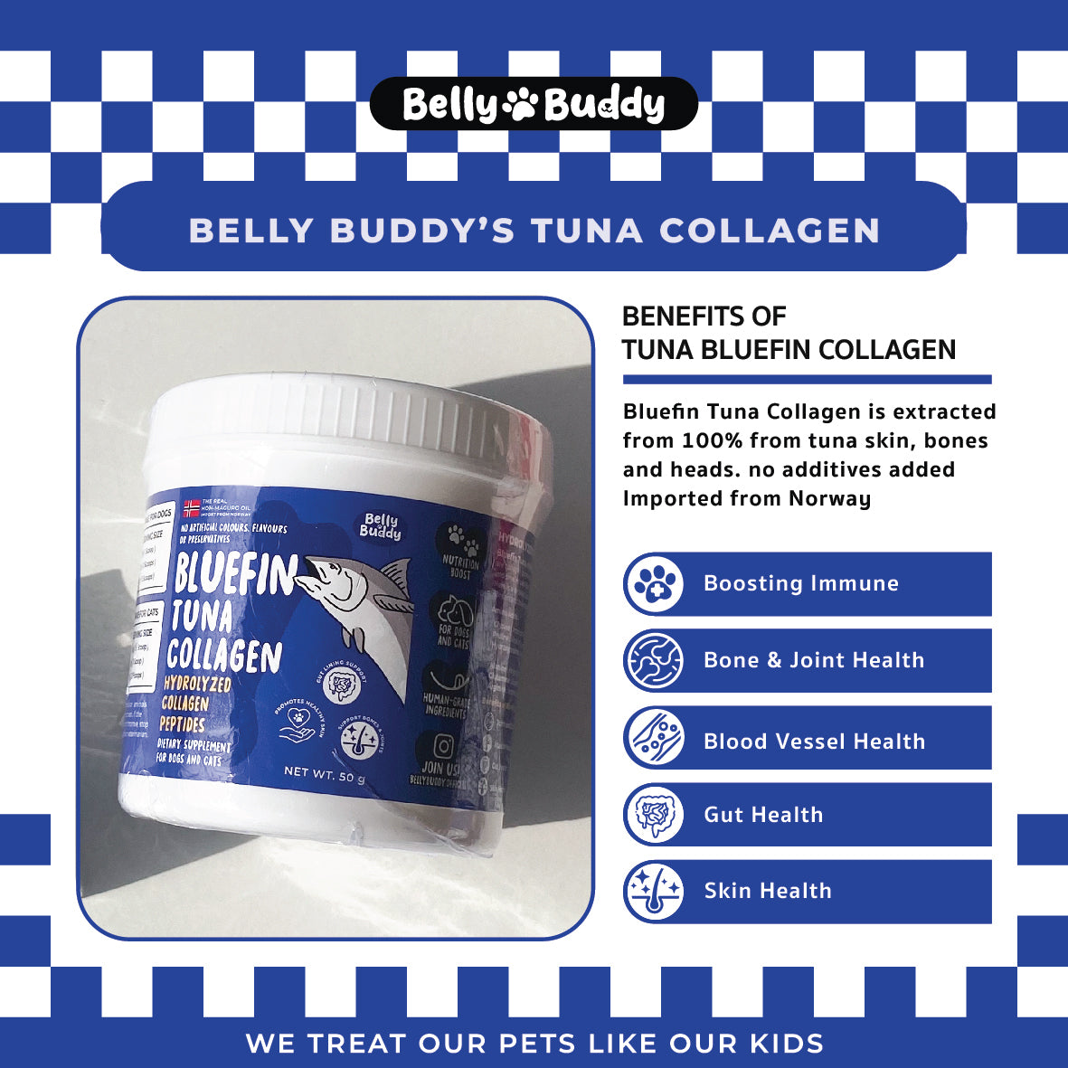Belly Buddy - Bluefin Tuna Collagen