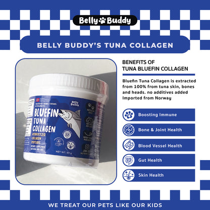 Belly Buddy - Bluefin Tuna Collagen