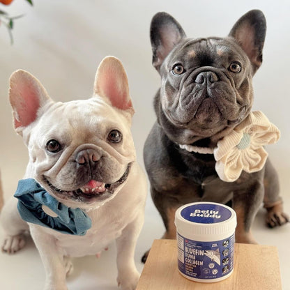 Belly Buddy - Bluefin Tuna Collagen