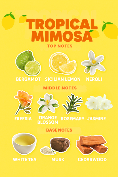 Furrday Pet - 4 in 1 Parfum