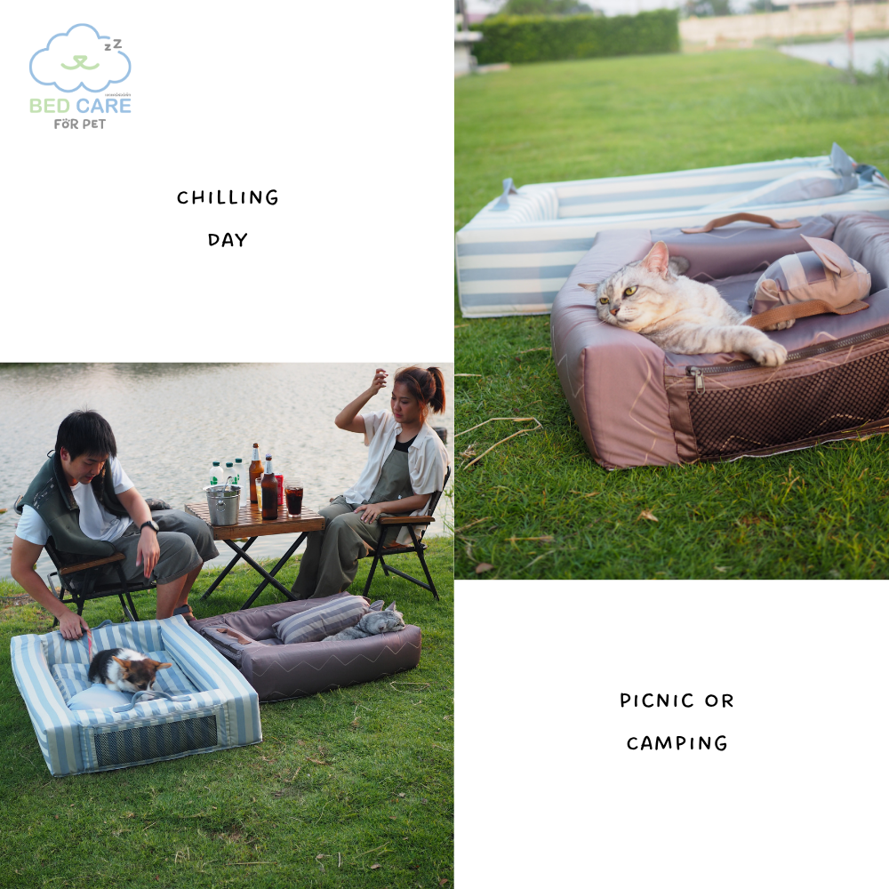 Bed Care for Pet - Comfy Bed Wall