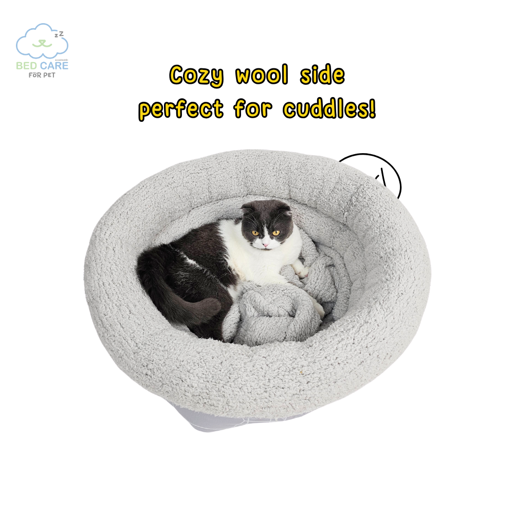 Bed Care for Pet - Onsen Cooling Bed