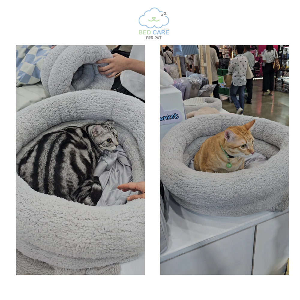Bed Care for Pet - Onsen Cooling Bed