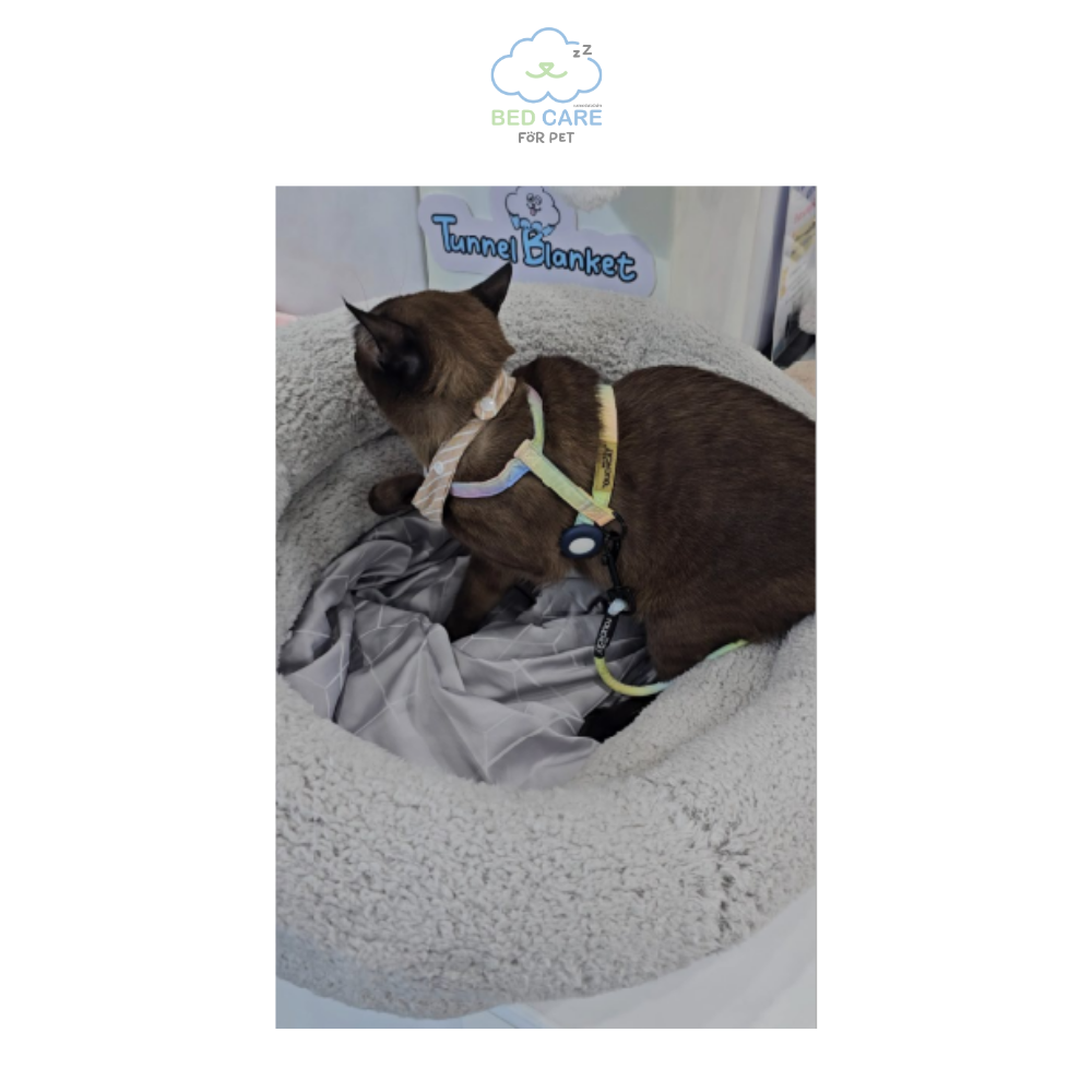 Bed Care for Pet - Onsen Cooling Bed