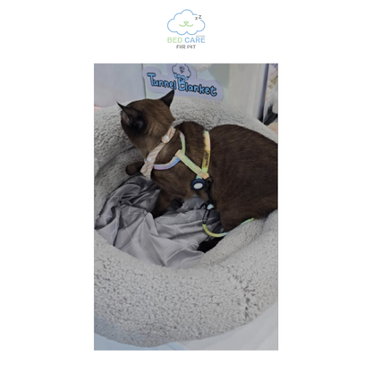 Bed Care for Pet - Onsen Cooling Bed