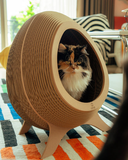 Carton Connection - Eggy [Pre-order]