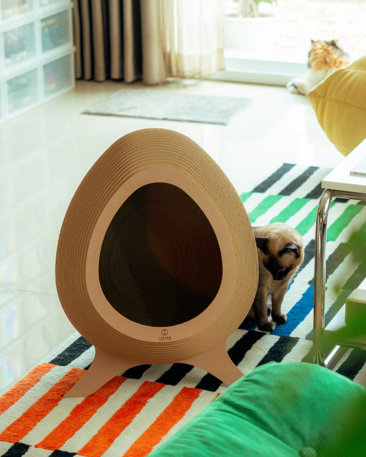 Carton Connection - Eggy [Pre-order]