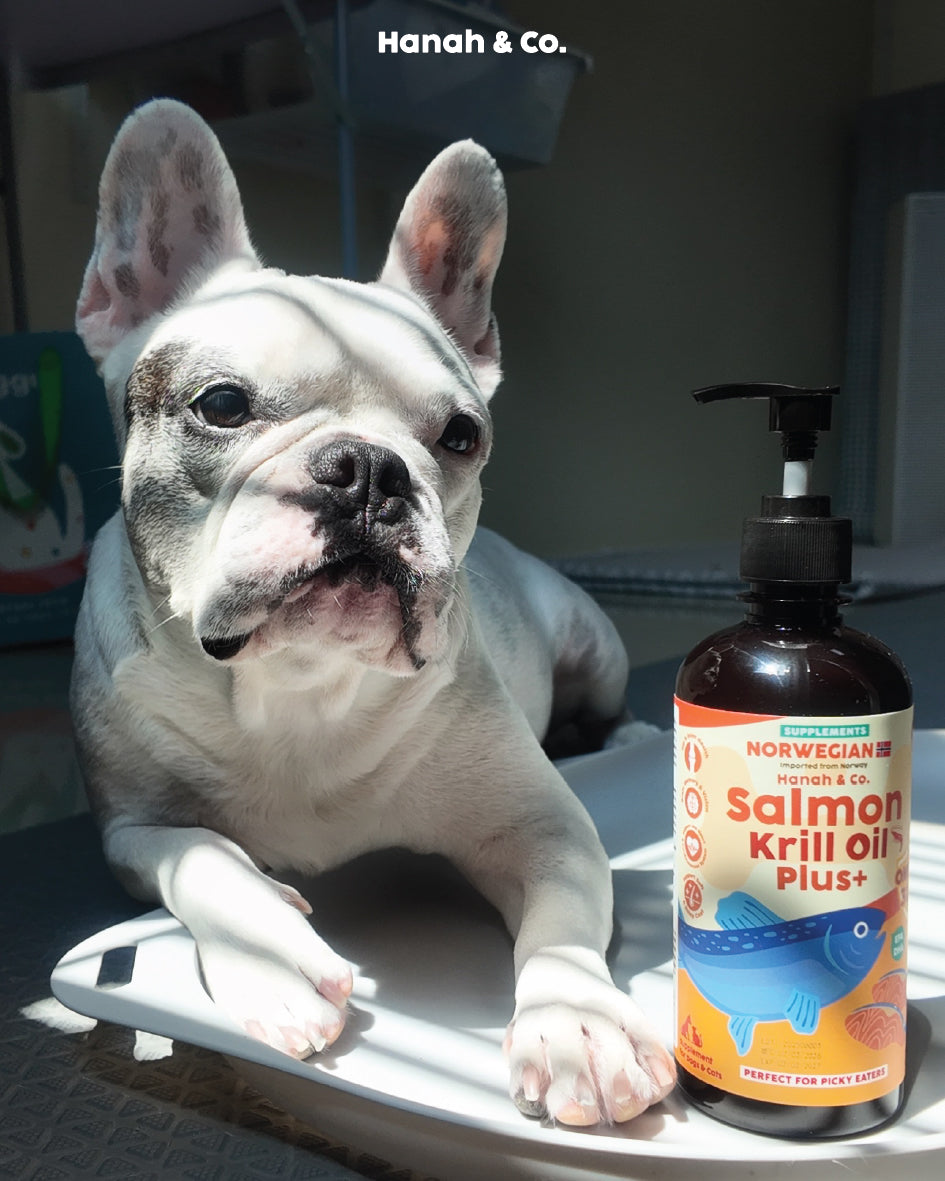 Hanah & Co - Salmon Krill Oil — omega-3 food topper for skin & coat