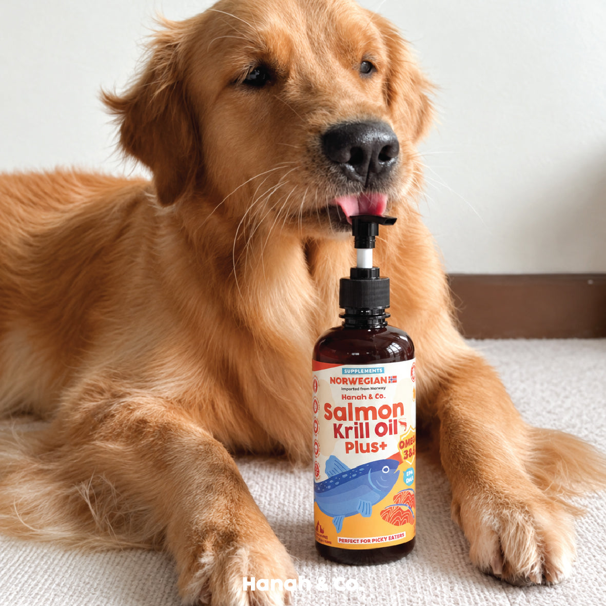 Hanah & Co - Salmon Krill Oil — omega-3 food topper for skin & coat