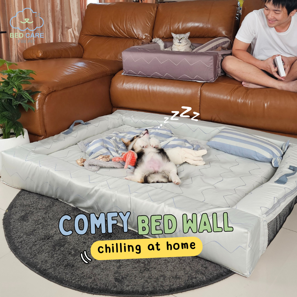 Bed Care for Pet - Comfy Bed Wall