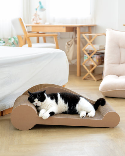 Carton Connection - Maxine