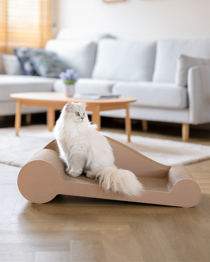 Carton Connection - Maxine