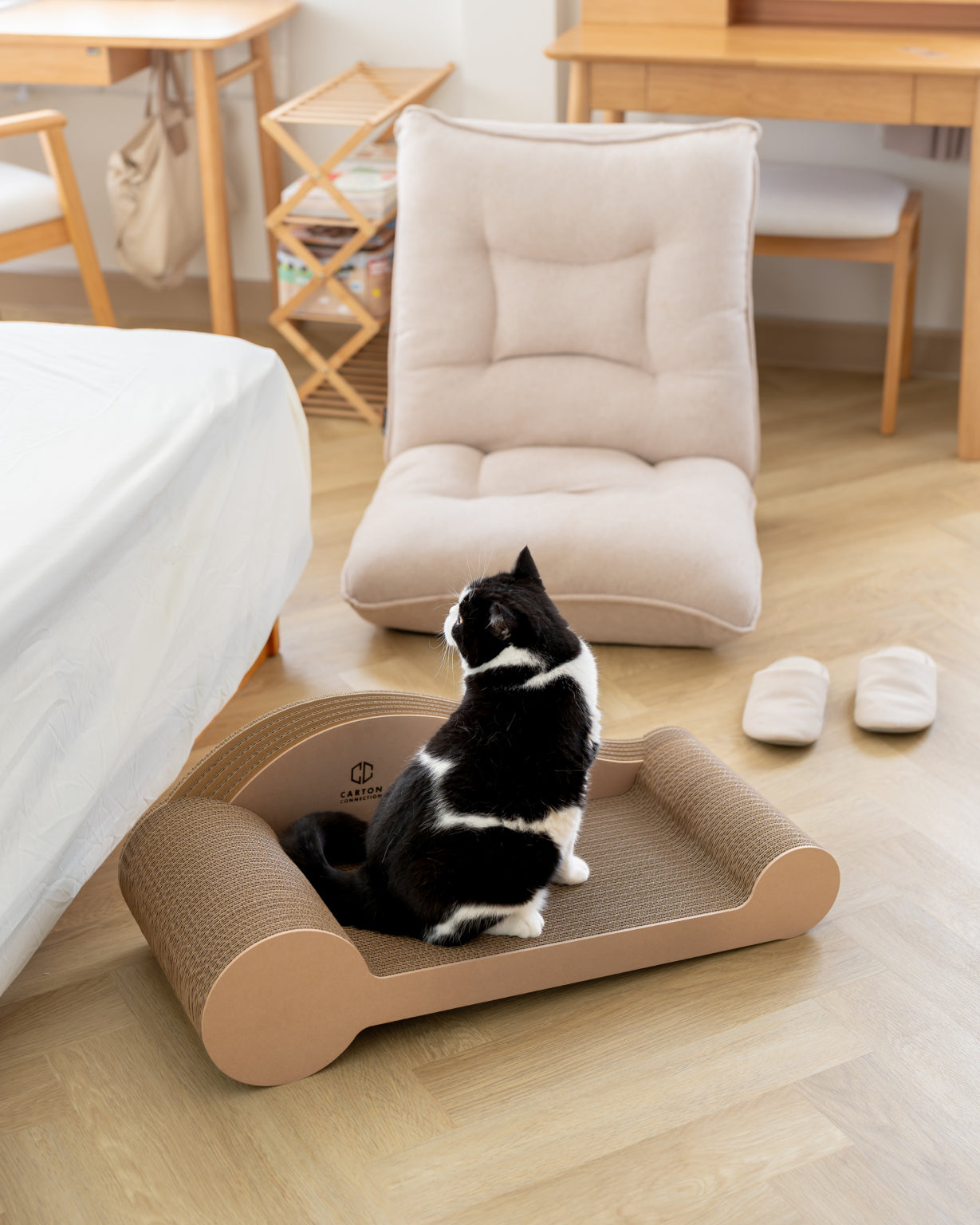 Carton Connection - Maxine