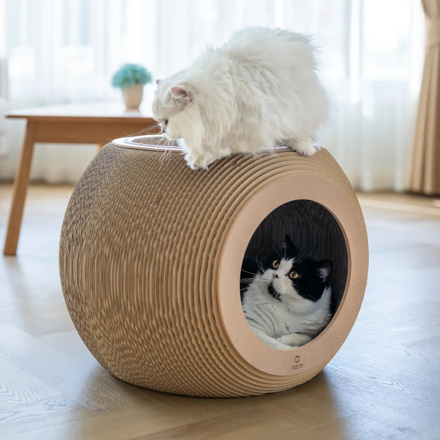 Carton Connection - Obitron