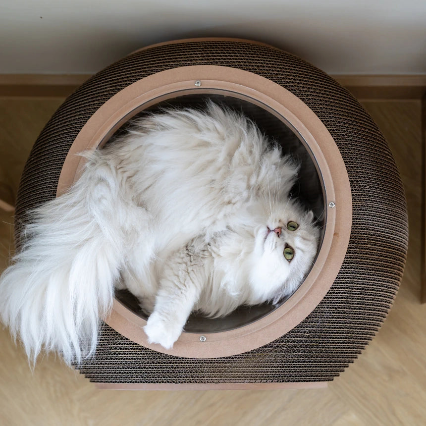 Carton Connection - Obitron