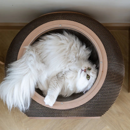 Carton Connection - Obitron