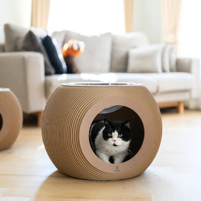 Carton Connection - Obitron