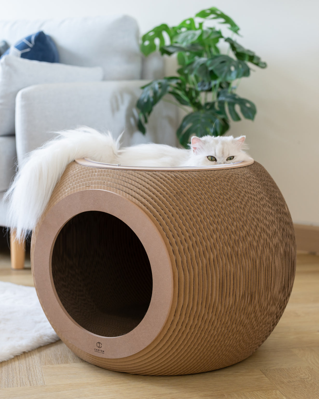 Carton Connection - Obitron