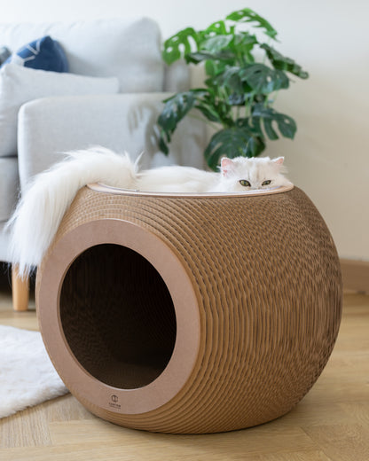 Carton Connection - Obitron