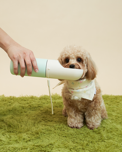 Oh Hello Travel Insulated Bottle