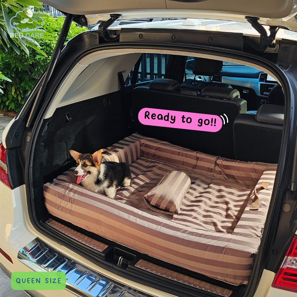 Bed Care for Pet - Comfy Bed Wall
