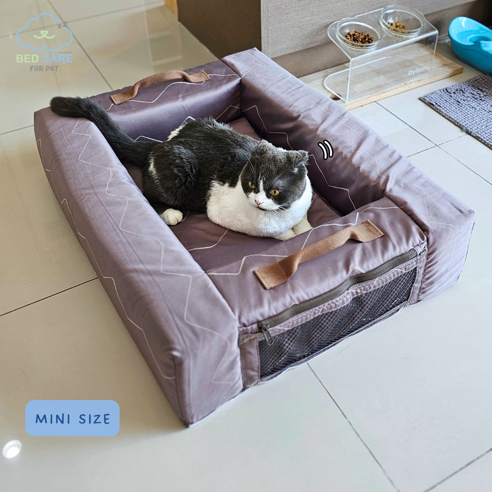 Bed Care for Pet - Comfy Bed Wall