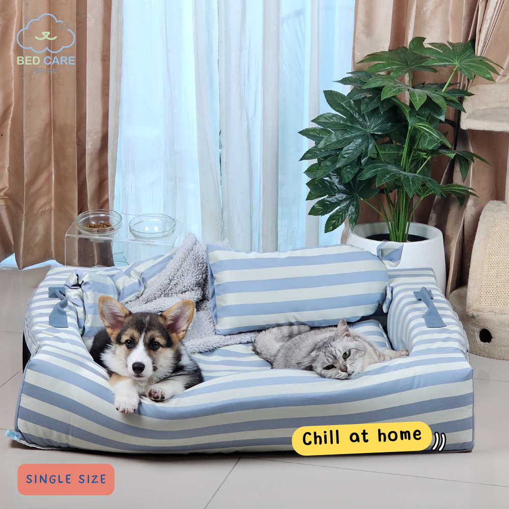 Bed Care for Pet - Comfy Bed Wall