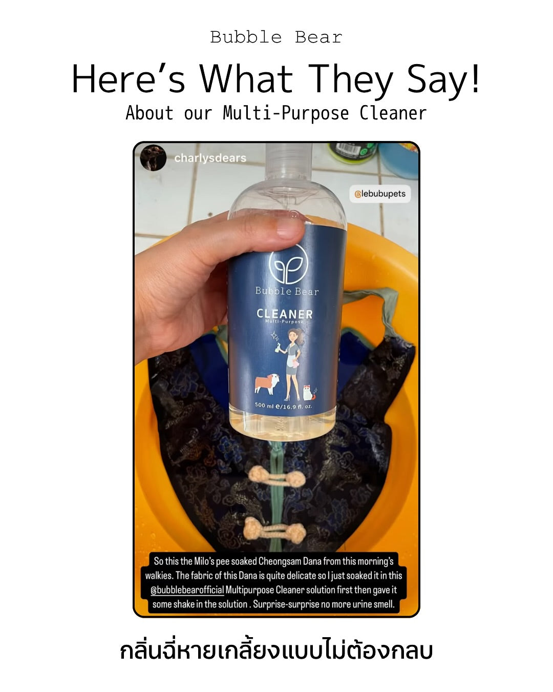 Bubble Bear - Multi-Purpose Cleaner — pet-safe home & surface cleaner