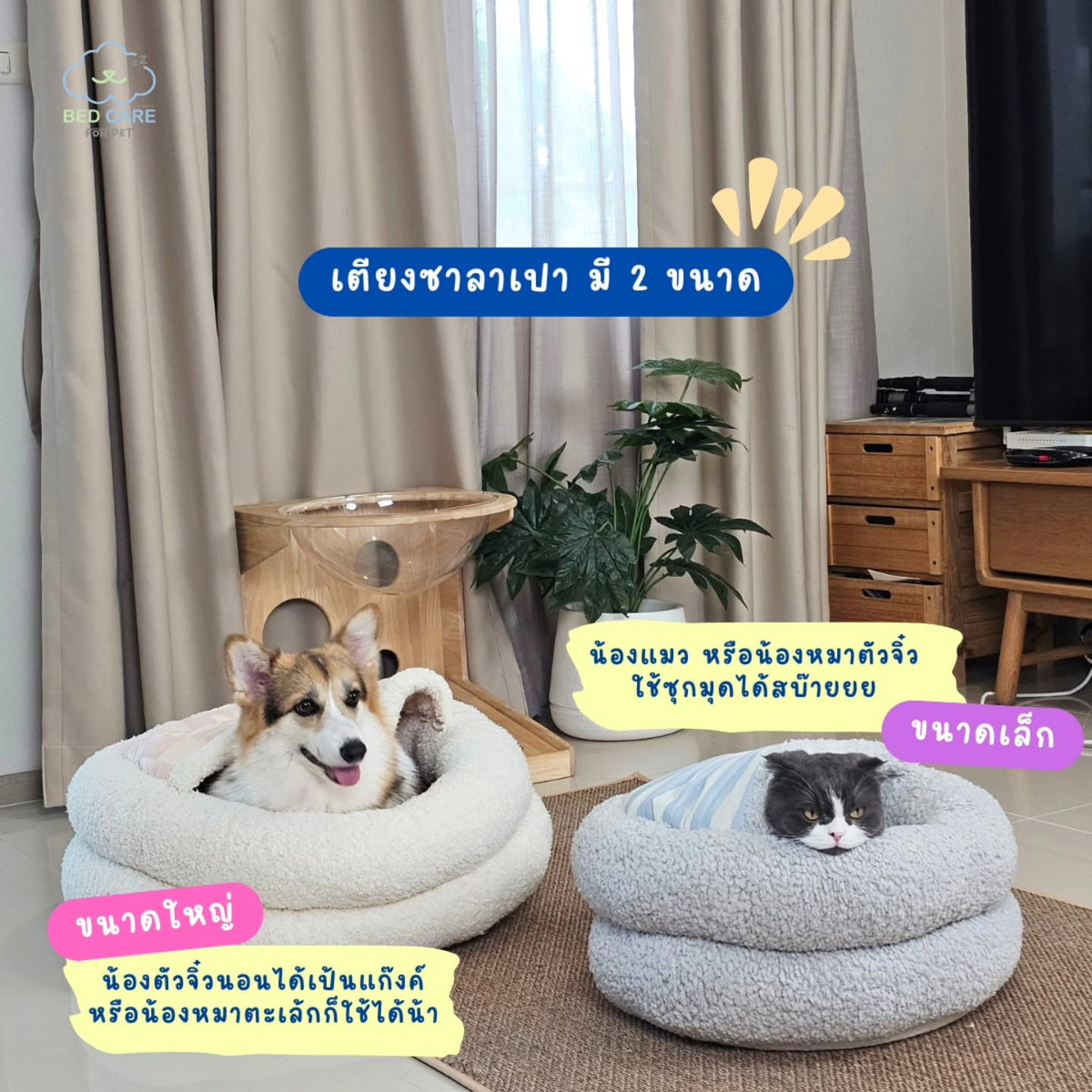 Bed Care for Pet - Salapao Bed