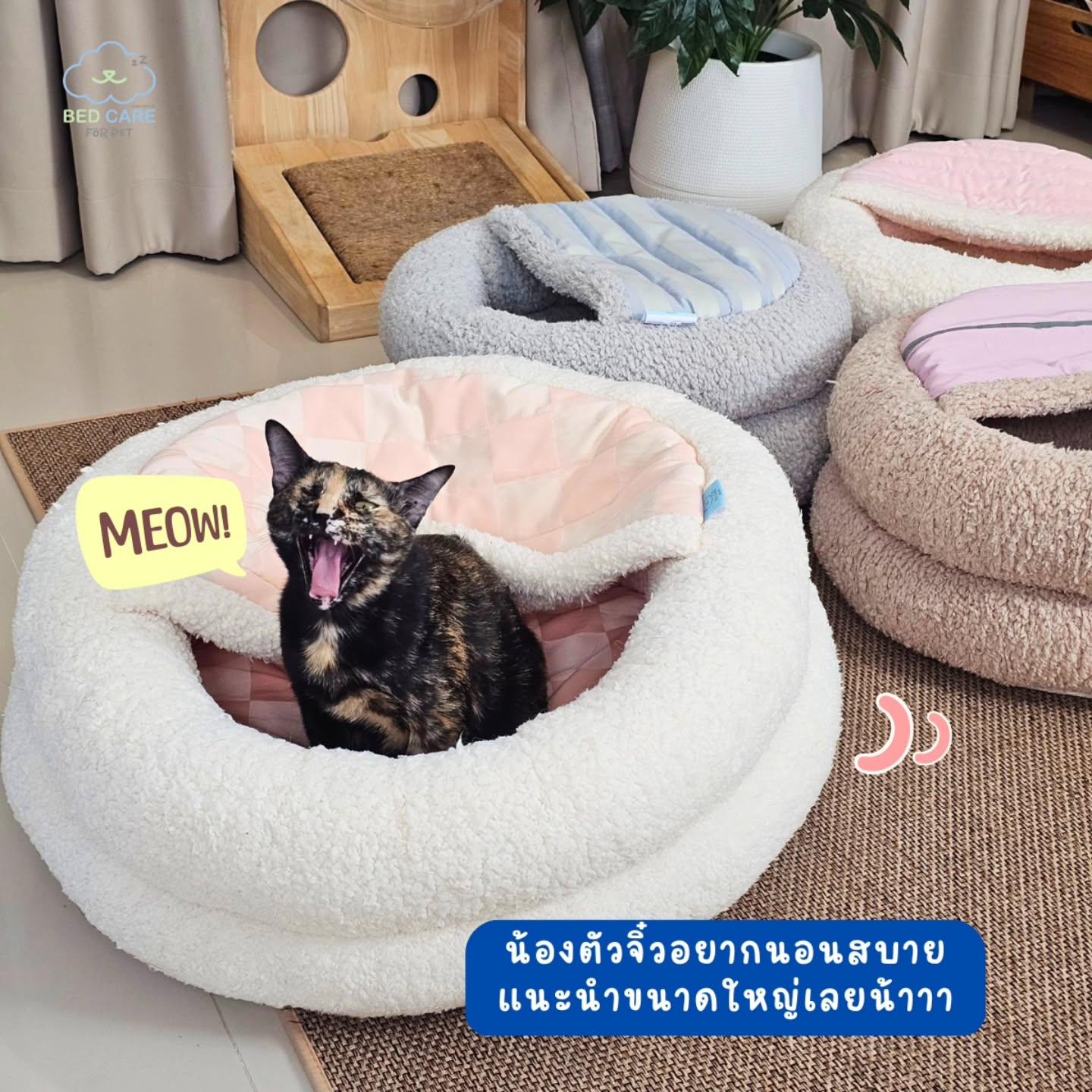 Bed Care for Pet - Salapao Bed