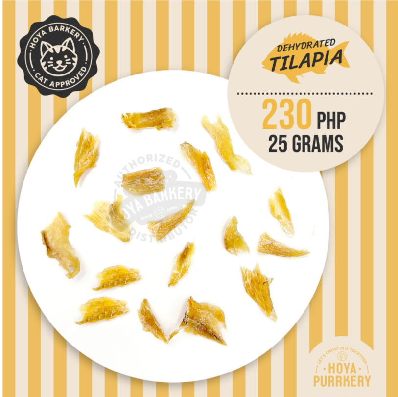 Hoya Purrkery - Tilapia Fillet, 25g